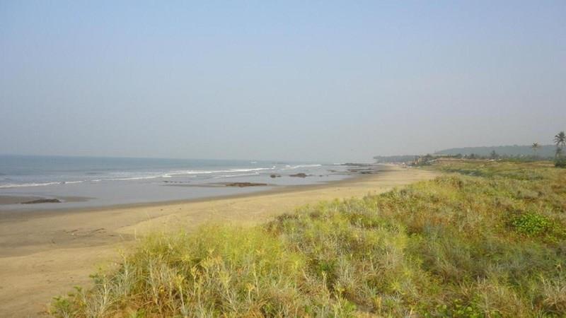 Изображение Bay Breeze Hotels & Resorts (ex. Morjim Grand Inn, New Morjim Club Resort) 3*