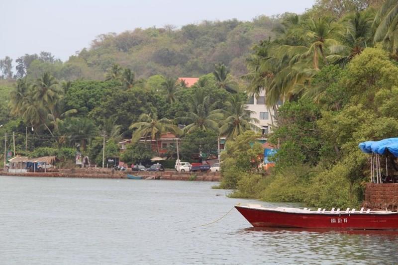 Картинка Sugar Plum 1*