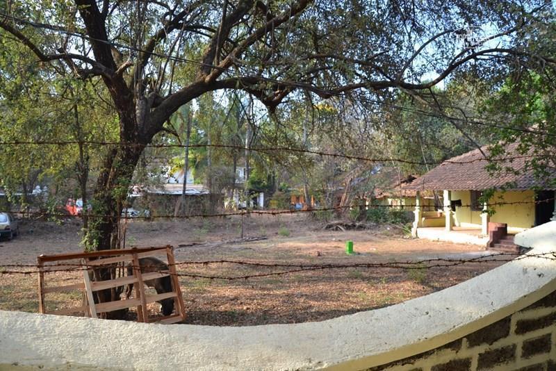 Фотография Jitu Guest House 1*