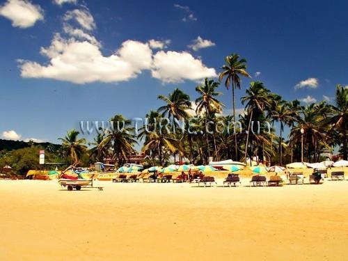 Фото V & M Calisto 1*