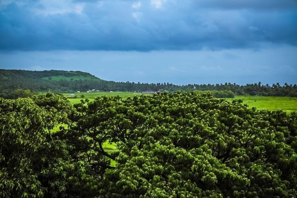 Фото Hotel Regent Laguna 4*