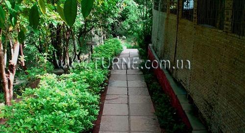 Картинка Jolly Jolly Lester 2*