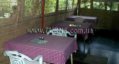 Фотография Jolly Jolly Lester 2*