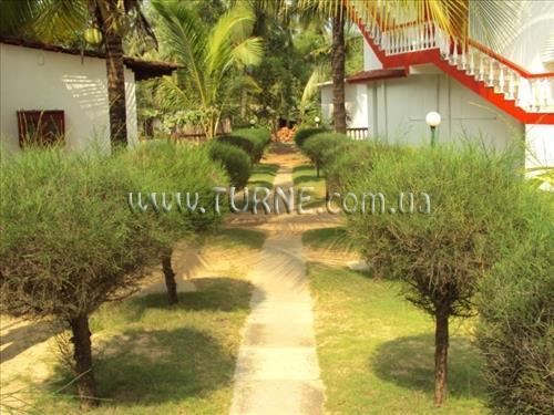 Изображение Mandrem Beach Resort 2*