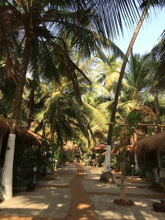 Изображение Hidden Paradise 3*