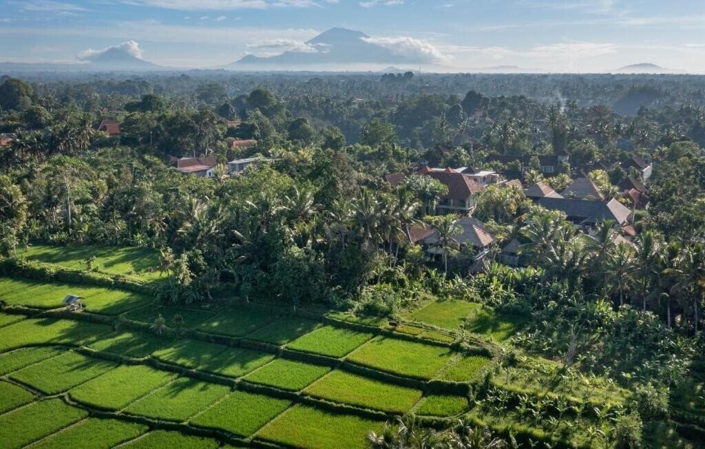 Картинка Kori Ubud Resort & SPA 4*