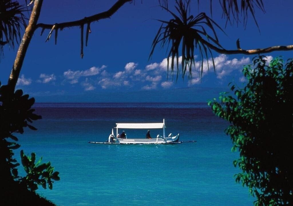 Фотография Alila Manggis 4*