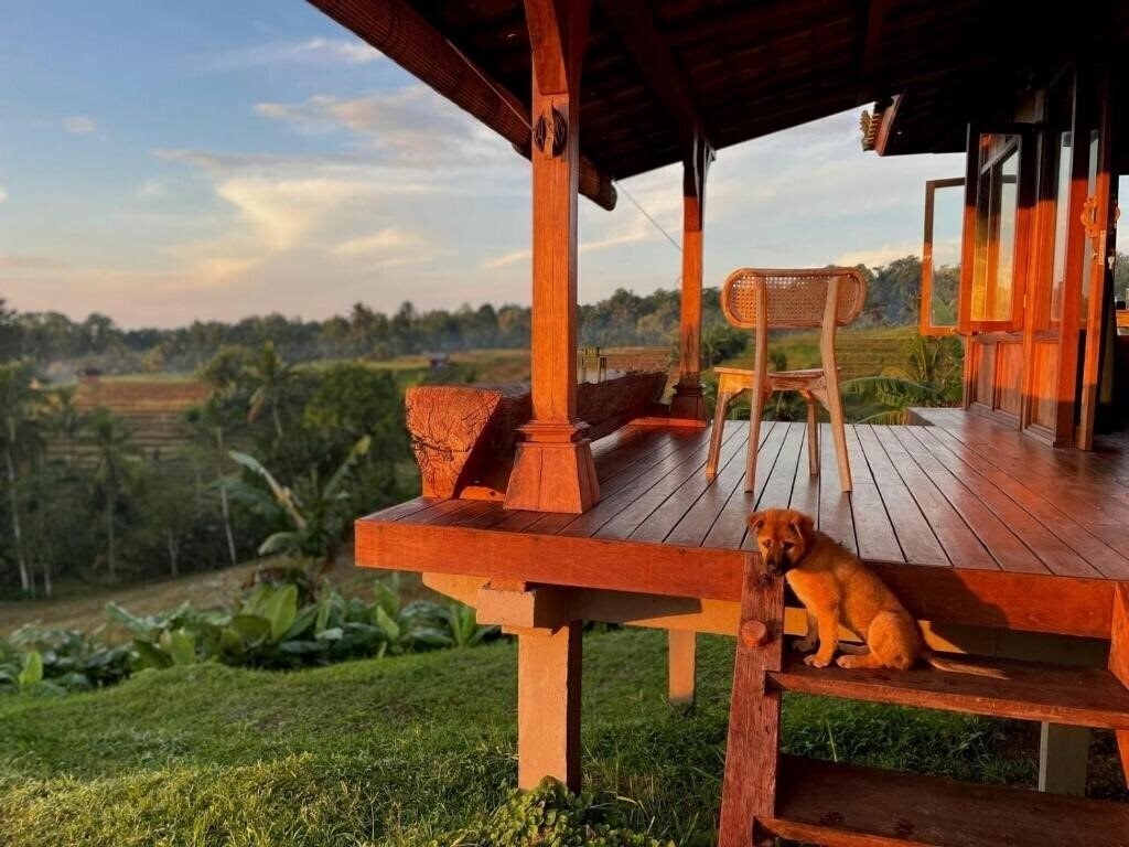 Картинка Villa Pacung 4*