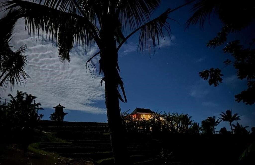 Отель Villa Pacung 4*