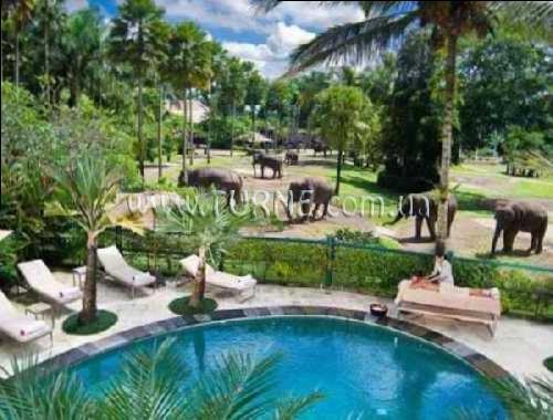 Изображение La Taverna 3*