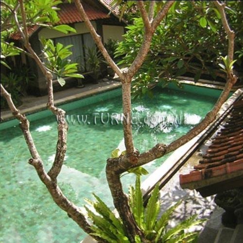 Отель Puri Mesari 2*