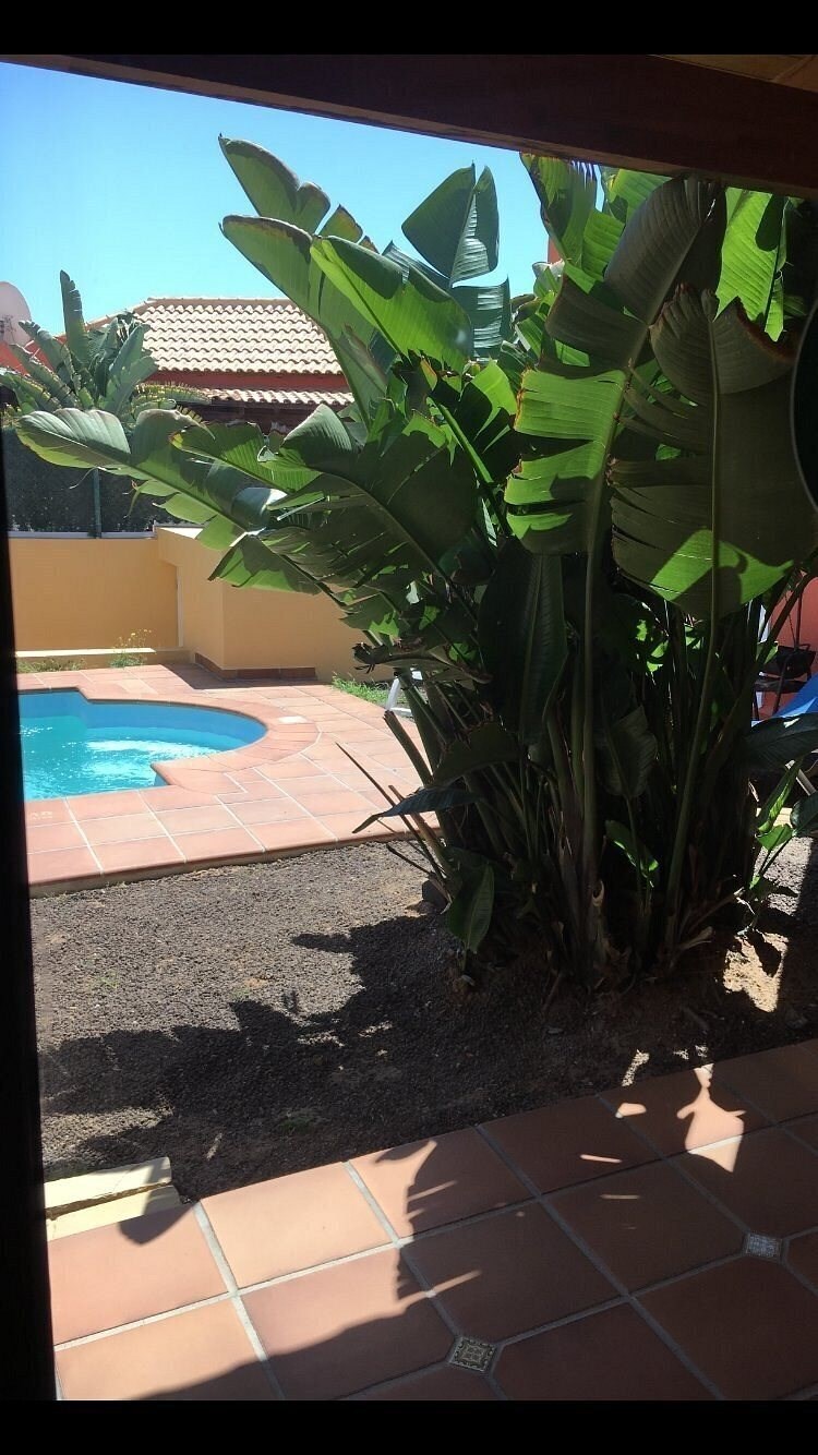 Картинка Villas Brisas del Mar (ex. Labranda Brisas Del Mar) 3*