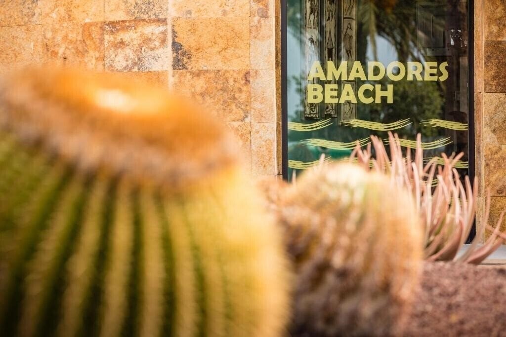 Фотография Apartamentos Amadores Beach 3*