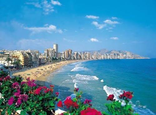 Изображение Solymar 4*