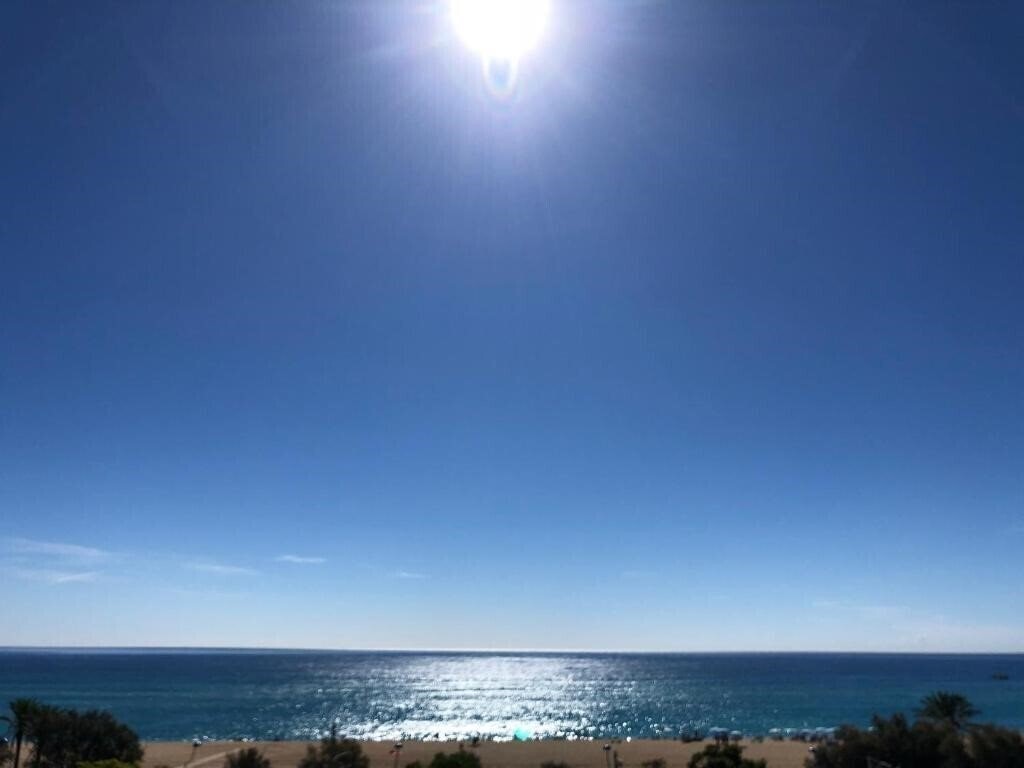 Картинка Iris 1*