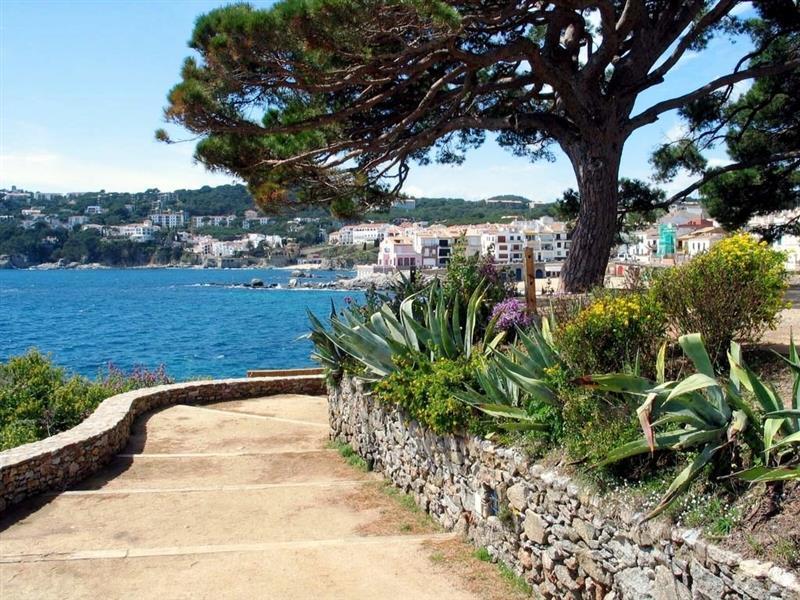 Фотография Checkin Victoria 3*