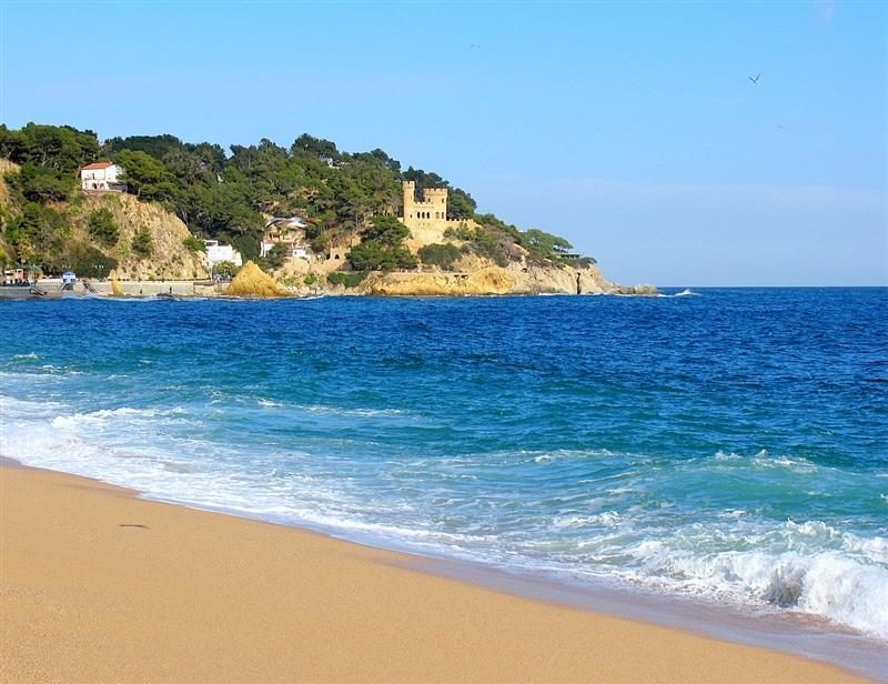 Изображение Checkin Victoria 3*