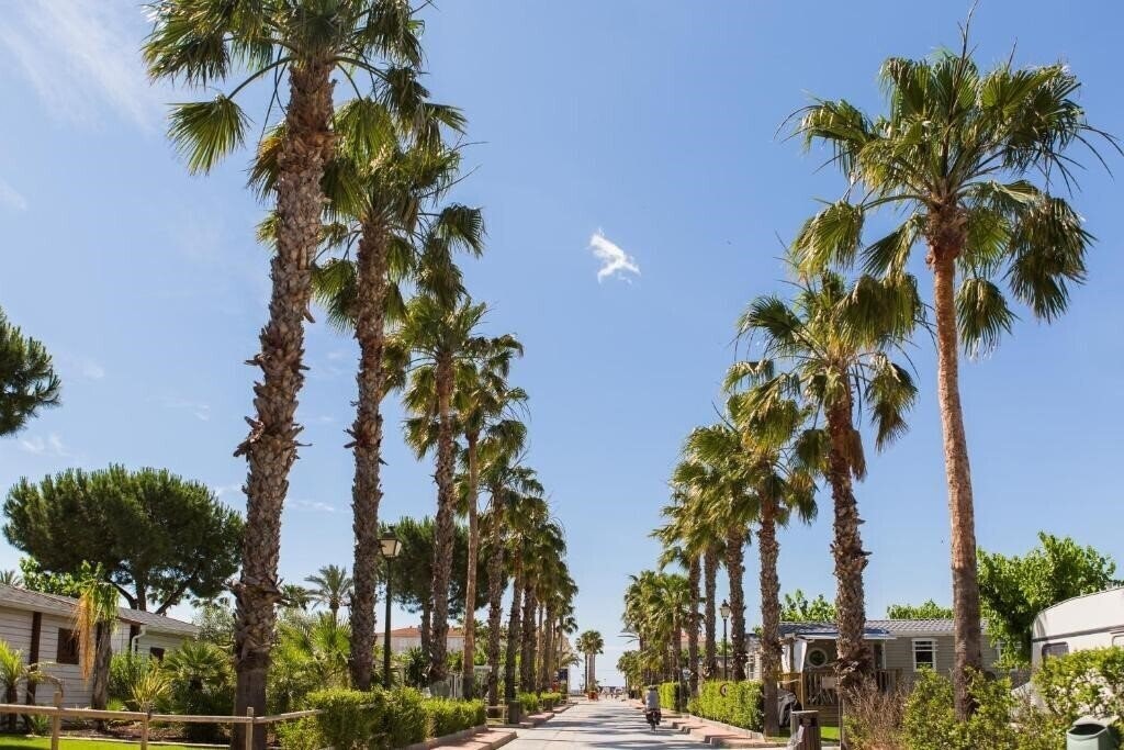Отель Camping Vendrell Platja апартаменты