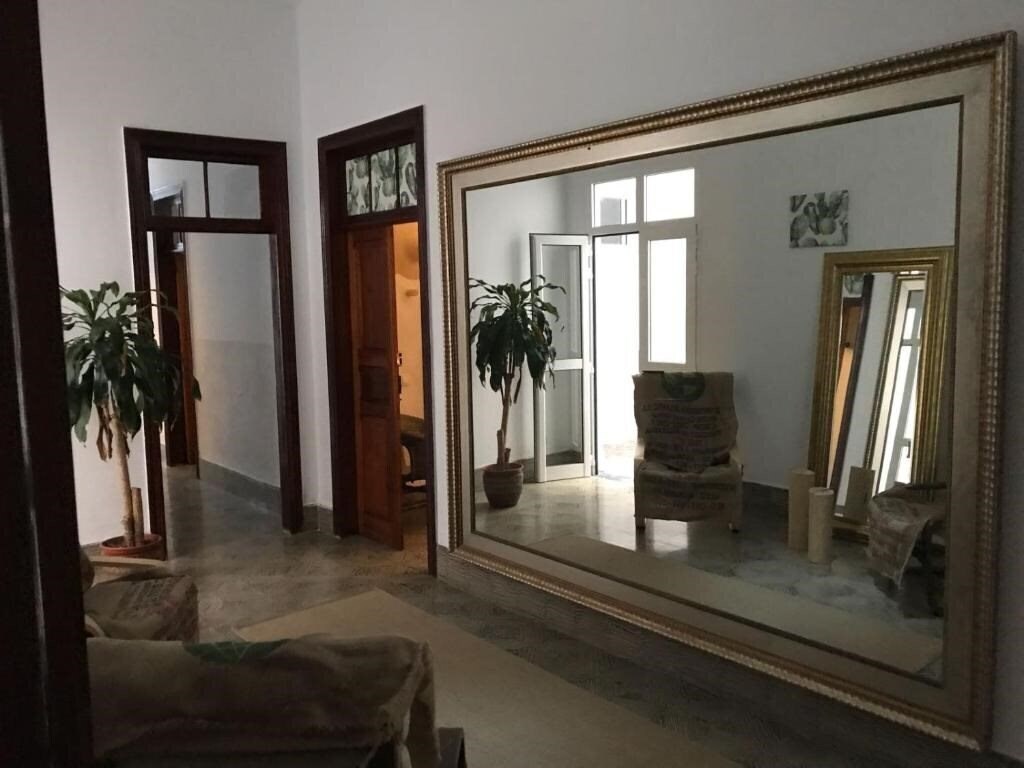 Фотография Cactus Host 2*