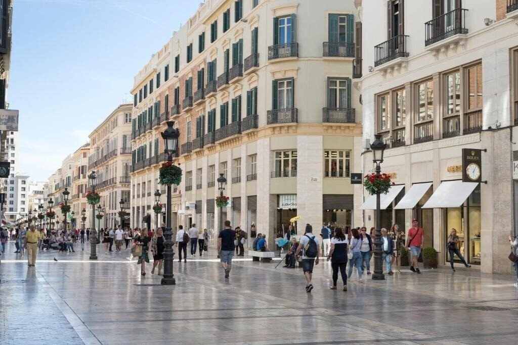 Отель Petit Palace Plaza Malaga 4*