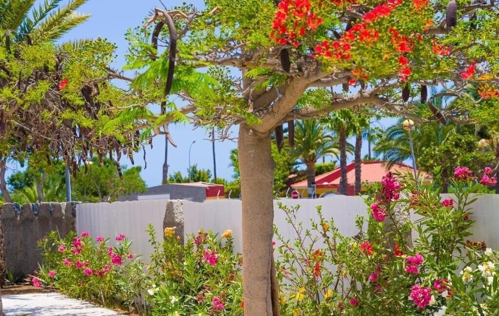 Картинка Bungalows Las Almenas 2*