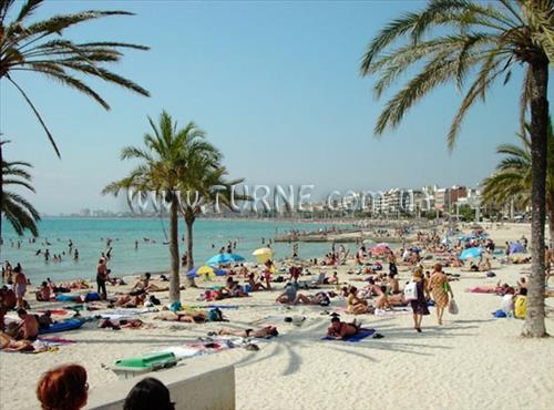 Фото Torre Arenal 3*