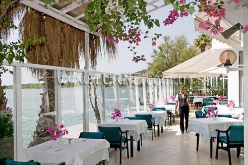 Картинка Roc Bocaccio 3*