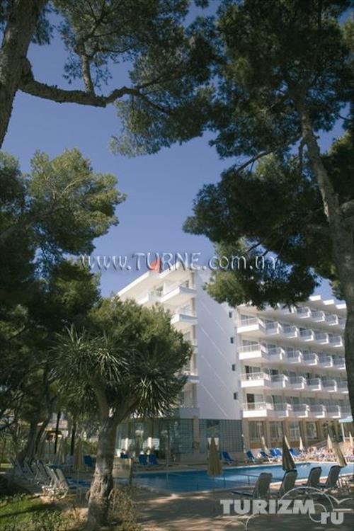 Картинка Riu Concordia 4*