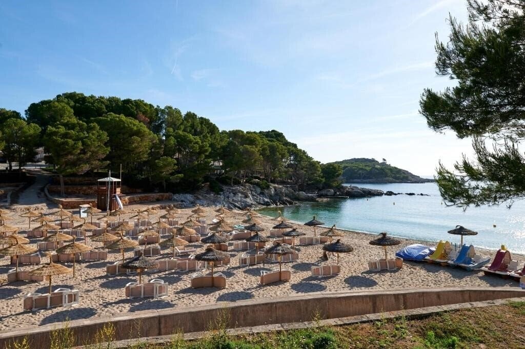 Картинка Aluasoul Carolina 4*