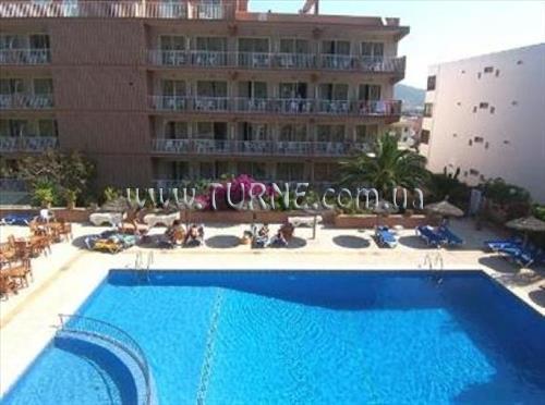 Отель Delfin Siesta Mar Hotel 4*