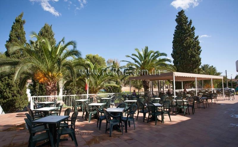 Отель Club Hotel Riu Tropicana 3*