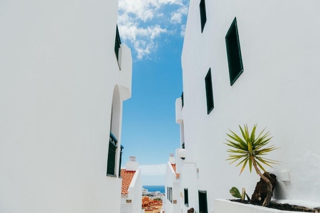 Фотография Aparthotel Neptuno 3*