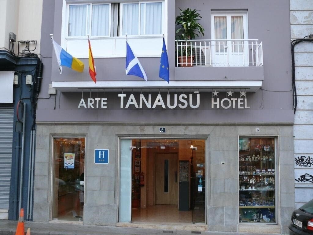 Отель Tanausu Hotel 3*
