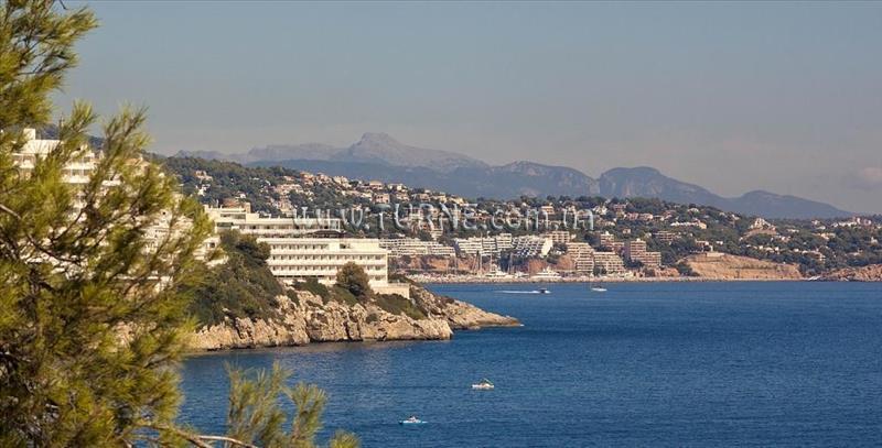 Фотография Trh Torrenova 3*