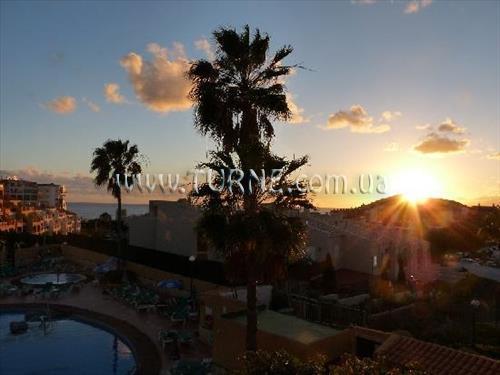 Картинка Oasis Mango 3*