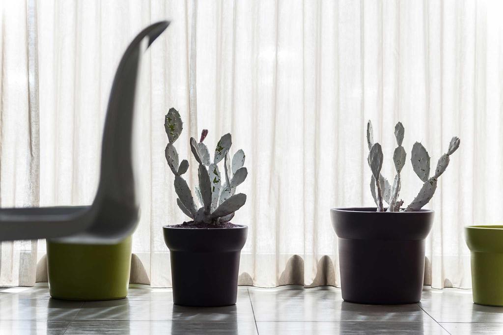 Фотография 8Piuhotel (ex. 8 Piu Hotel) 4*