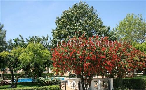 Картинка Villa Irlanda (ex. G.h. Villa Irlanda) 4*