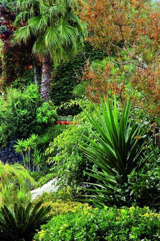 Отель Hotel Delfini Terme & Beauty 4*