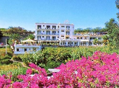 Картинка Hibiscus 3*