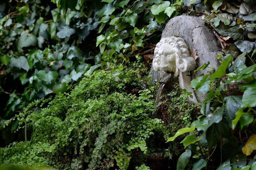 Изображение Giulio Cesare 4*