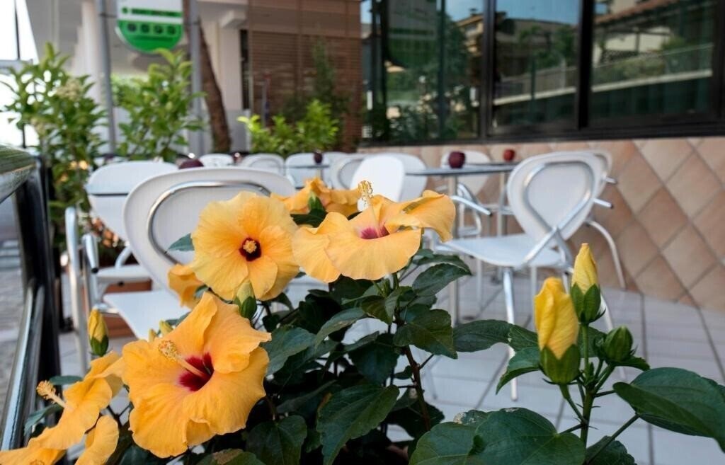 Изображение Hotel Scarlet 3*