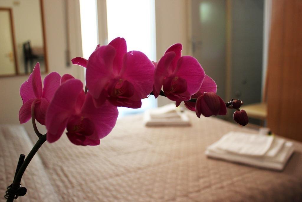 Фото Hotel Leda 2*