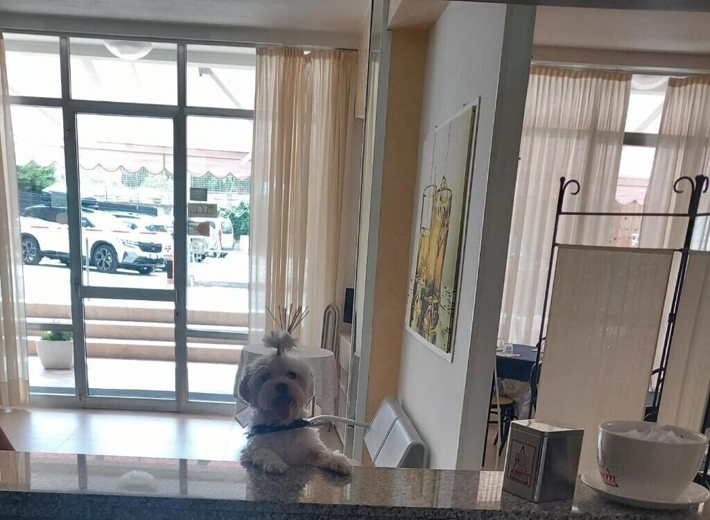 Картинка Staccoli (Bellariva) 3*