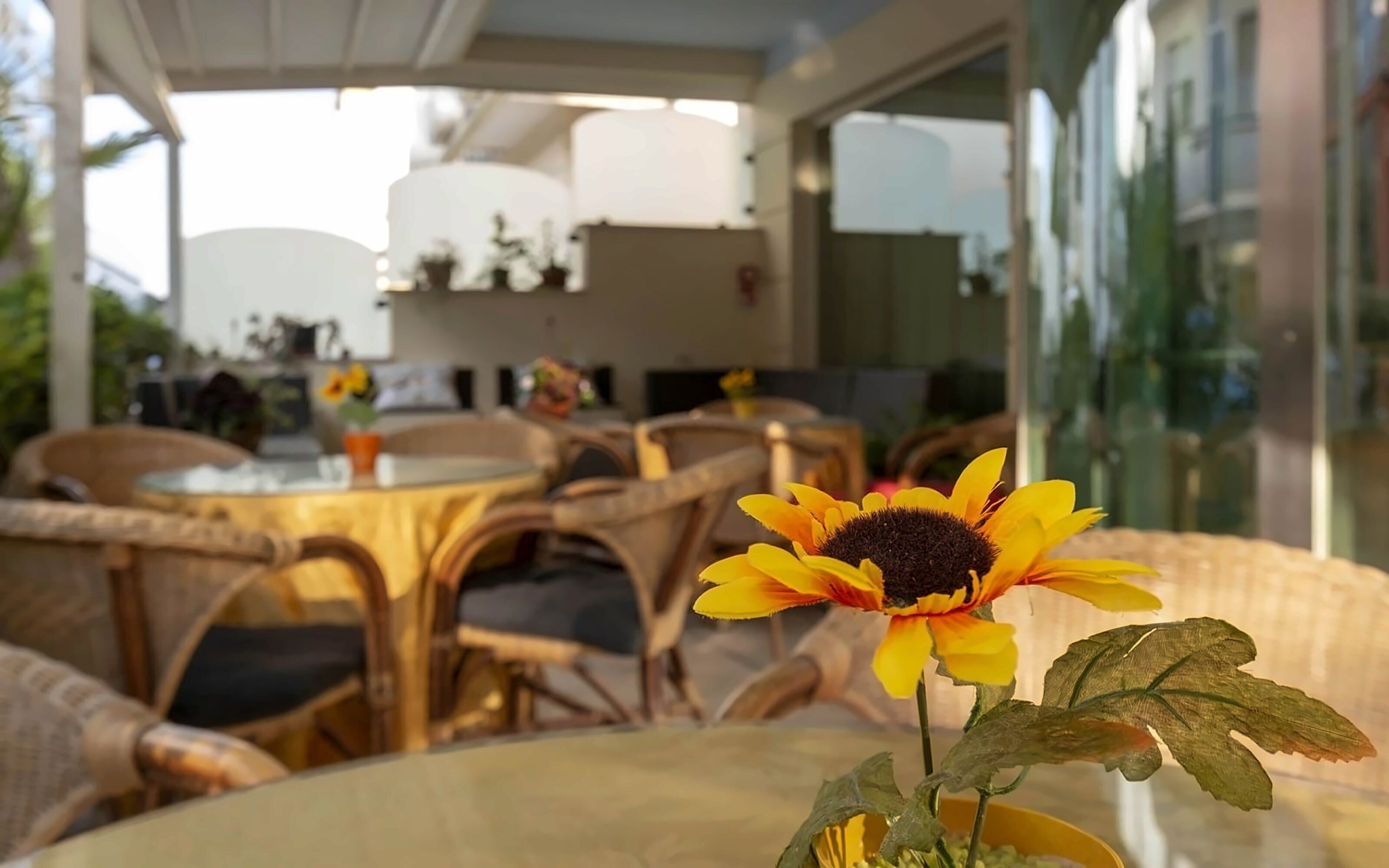 Изображение Kennedy 3*