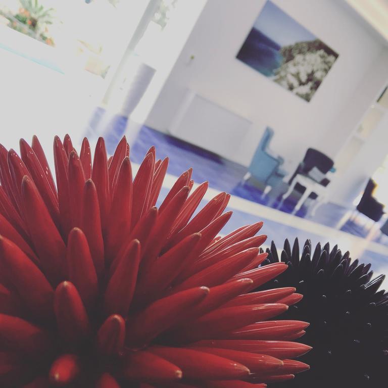 Отель Metropole 3*