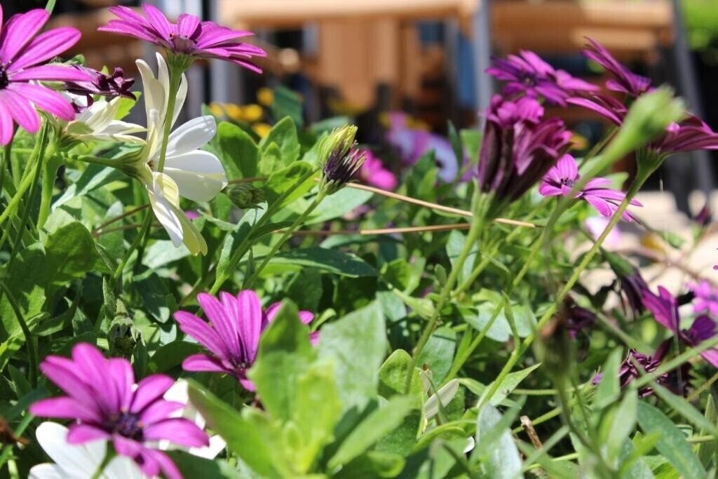 Картинка Mare Azzurro 3*