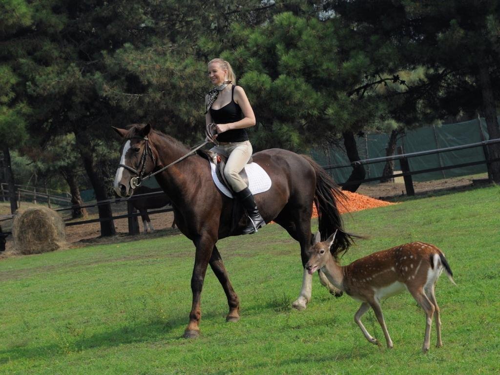 Изображение Albarella Island Apartments 1*