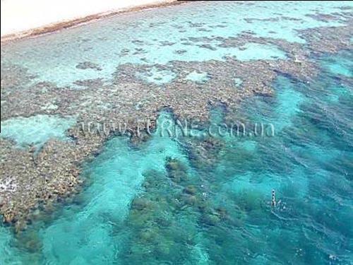 Фото Afi Eilat Patio 4*