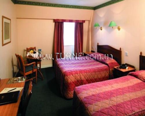 Отель The Olive Tree 4*