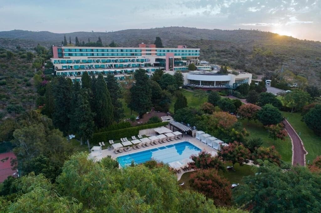 Отель Carmel Forest SPA Resort 5*